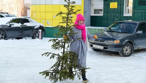 У барнаульцев забрали новогодние елки, чтобы даровать новую жизнь