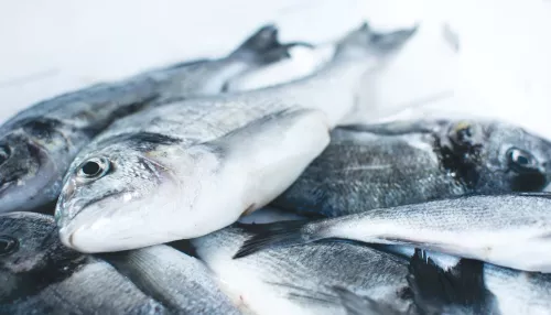 Четырех жителей Камня-на-Оби поймали на краже более 360 кг рыбы