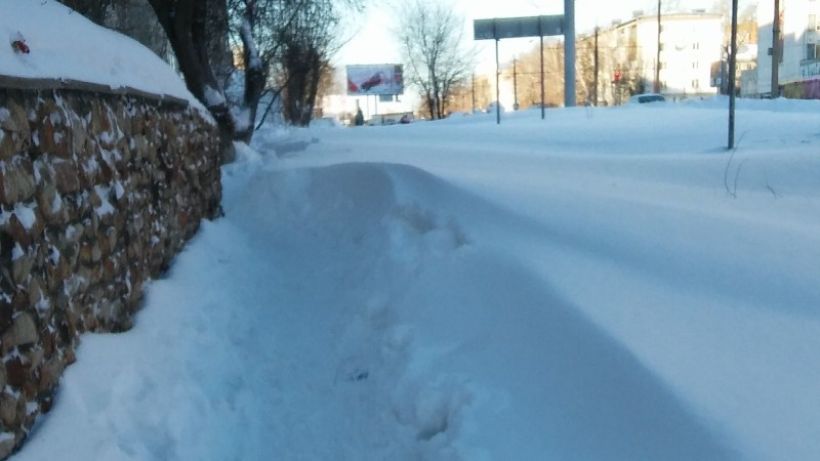 Барнаул засыпало снегом Фото:tolknews.ru