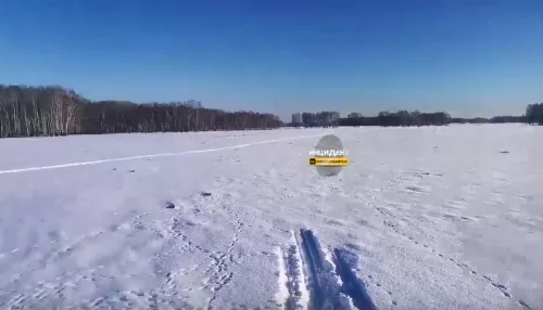 Новосибирский охотник нашел в снегу обглоданное тело мужчины