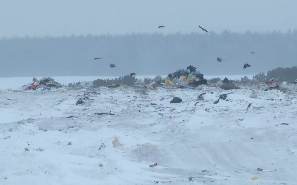 Жители села Смоленское протестуют против чужого мусора на местном полигоне