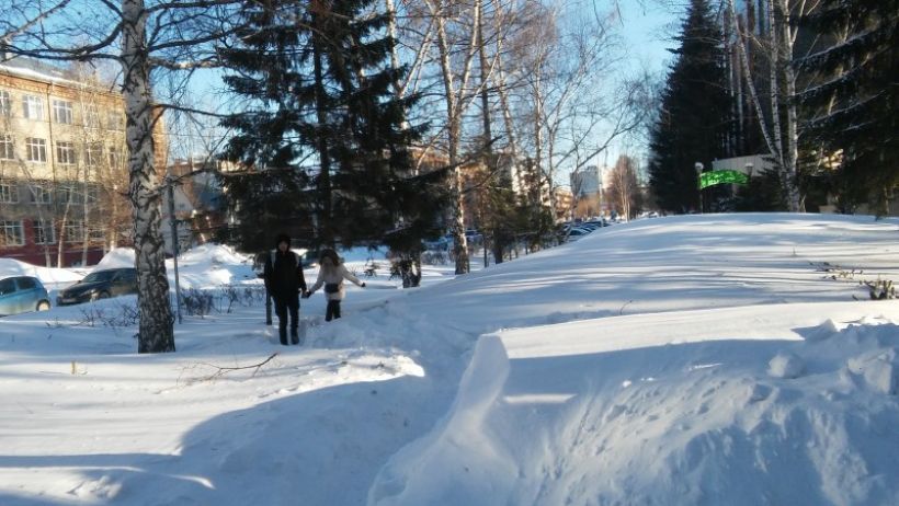 Барнаул засыпало снегом Фото:tolknews.ru