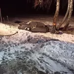 В Беларуси три молодые девушки заживо сгорели в автомобиле после ДТП