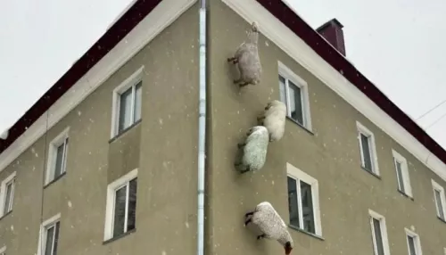 В Горно-Алтайске установили фигуры овец, гуляющих по фасаду здания