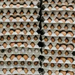 В барнаульских магазинах резко выросли цены на яйца