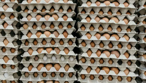 Новый министр объяснил, как в Алтайском крае будут сдерживать цены на яйца