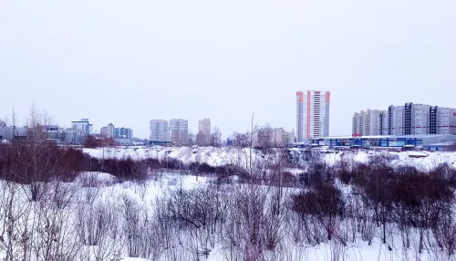 Из мусора и праха – в зелень. Кто и зачем хочет заложить большой парк в Барнауле