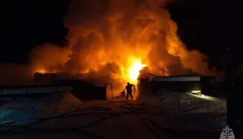 В Новоалтайске крупный пожар уничтожил деревянный дом и надворные постройки