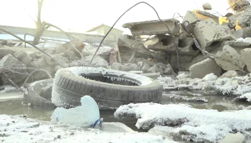 Барнаульцы требуют устранить лужу с нечистотами около своего дома