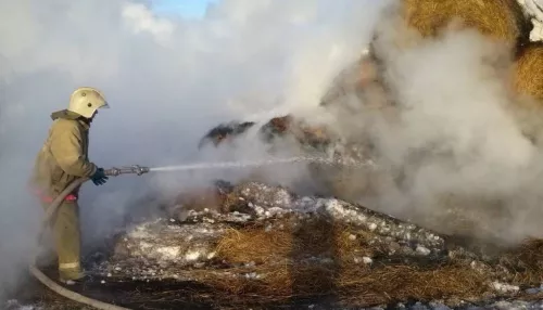 В алтайском селе загорелись более 100 тюков сена