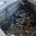 В Барнауле канализационные нечистоты вытекают прямо на улицу