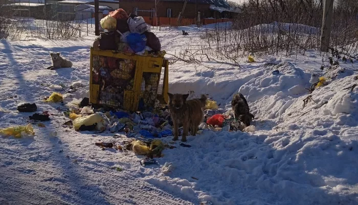 В Рубцовске продолжает тянуться проблема с вывозом мусора