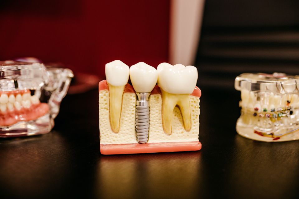 Стоматология. Зубной врач