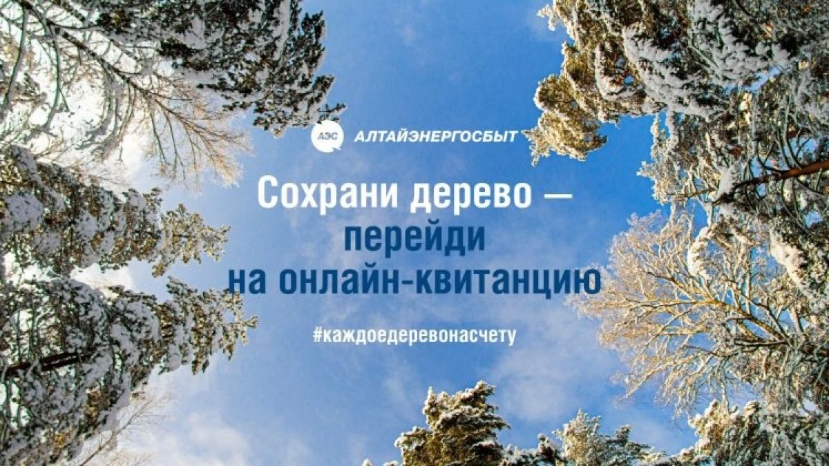 Электронные квитанции