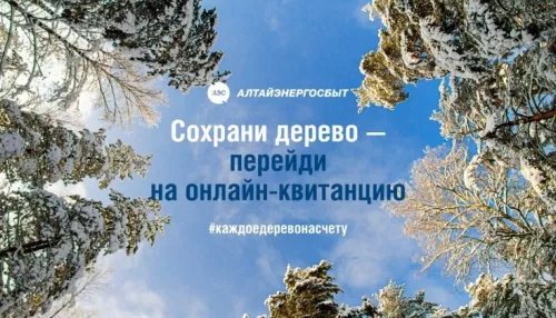 Число получателей онлайн-квитанций Алтайэнергосбыта выросло в 1,8 раза