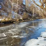 В алтайском заповеднике река Большой Тигирек избавляется ото льда. Фото