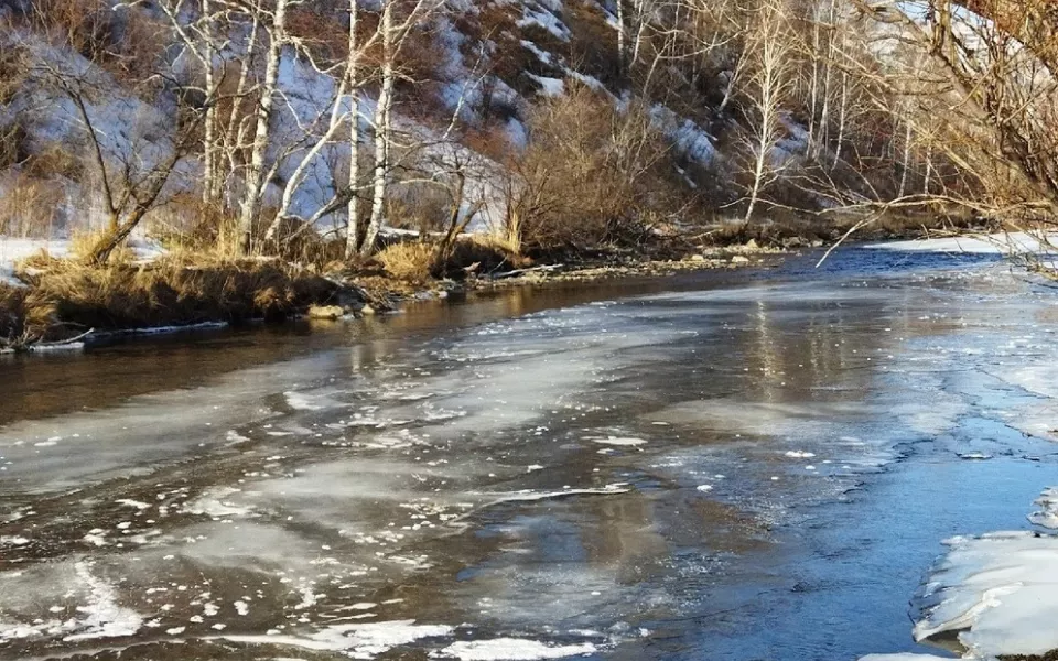 В алтайском заповеднике река Большой Тигирек избавляется ото льда. Фото