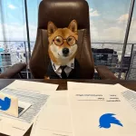 Лучше, чем тот парень: Илон Маск назначил главой Twitter своего пса