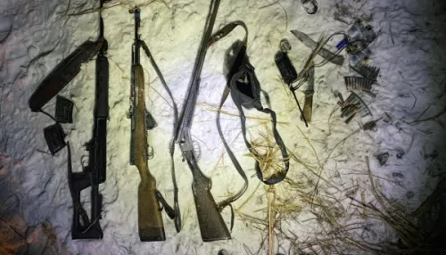 На Алтае задержали группу браконьеров, застреливших двух косуль