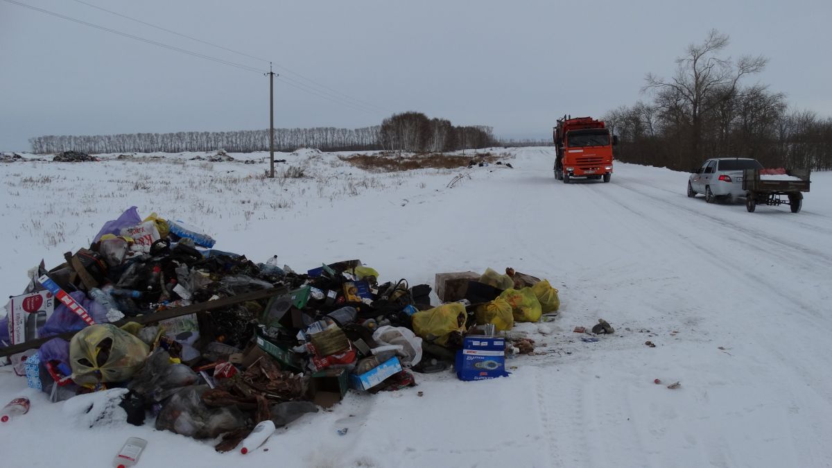 Полигон твердых коммунальных отходов в Романово