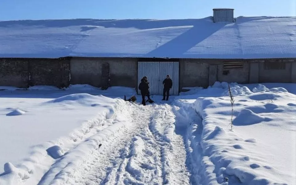 В Алтайском крае мать, которая сожгла свою дочь, могут отправить в психбольницу