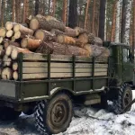 Алтайские депутаты урезали нормы леса на постройку и ремонт домов