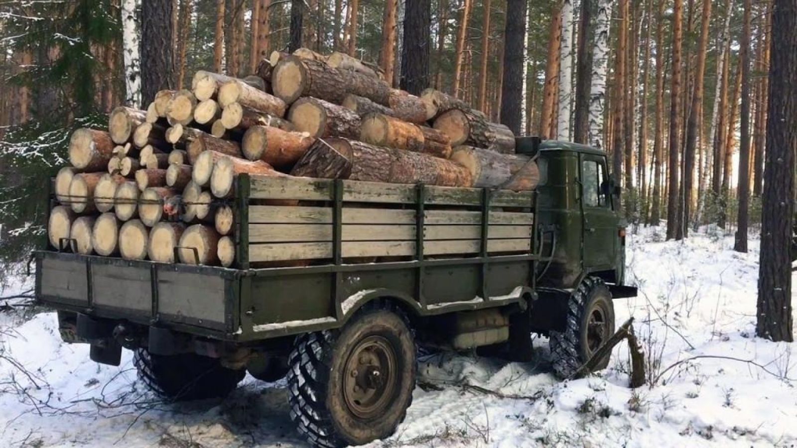 Лесовоз дров купить. ГАЗ 66 самосвал с дровами. ГАЗ 66 лесовоз. ГАЗ-66 Шишига с дровами. ГАЗ 53 ГАЗ 66 дрова.