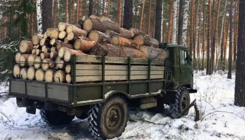 Алтайские депутаты урезали нормы леса на постройку и ремонт домов