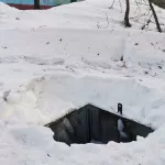 В барнаульском дворе нашли опасную яму, куда уже провалилась собака