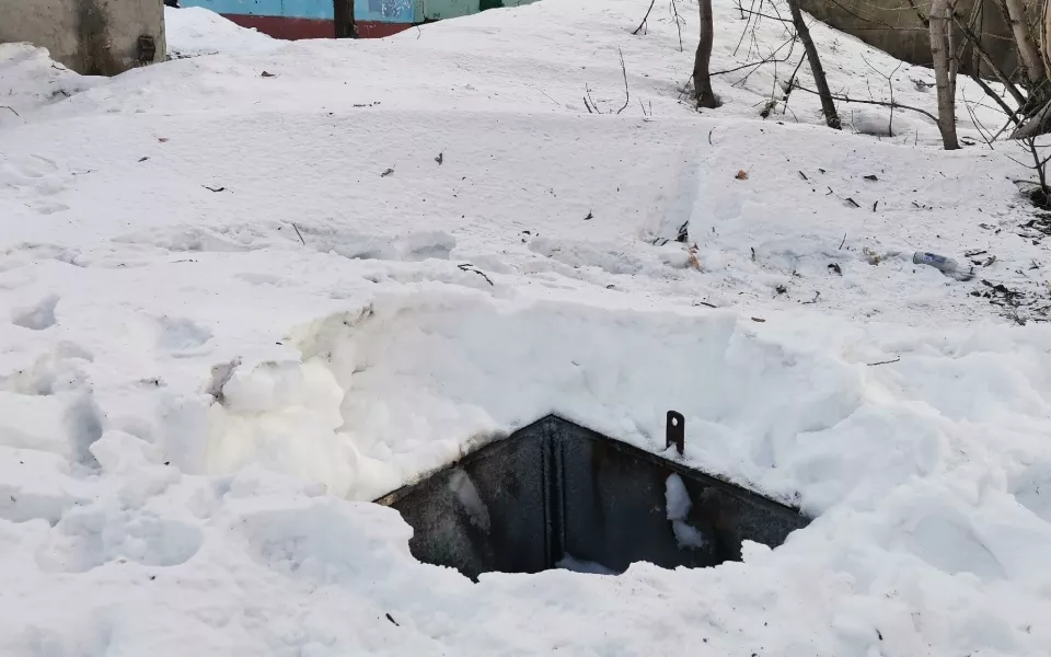В барнаульском дворе нашли опасную яму, куда уже провалилась собака