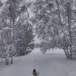 Зимняя сказка: алтайский город накрыл сильный снегопад