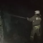 В Алтайском крае женщину и ее 14-летнюю дочь спасли из горящего дома