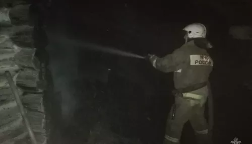 В Алтайском крае женщину и ее 14-летнюю дочь спасли из горящего дома