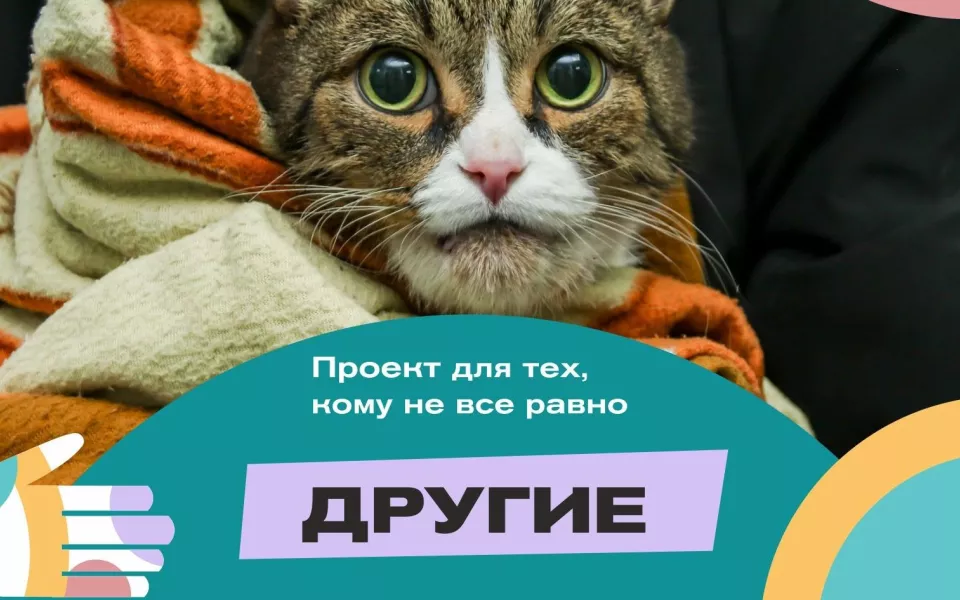 Мне жалко всех: как в Алтайском крае лечат и спасают диких животных