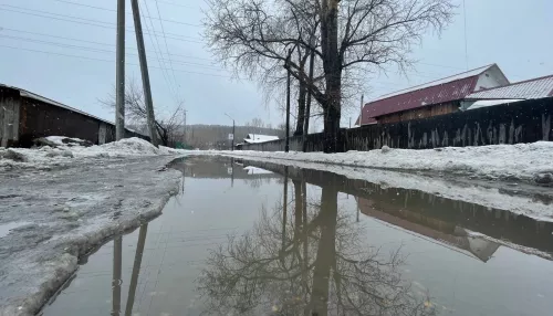 В Алтайском крае ограничили проезд по дороге из-за подтопления талыми водами