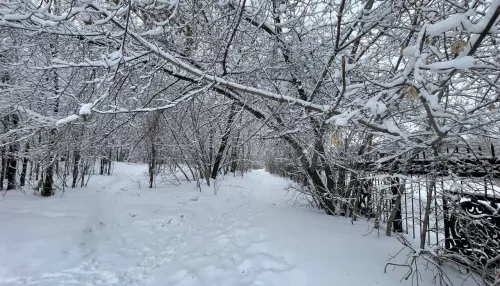 Барнаул накрыло снежным одеялом в первые дни весны. Фоторепортаж