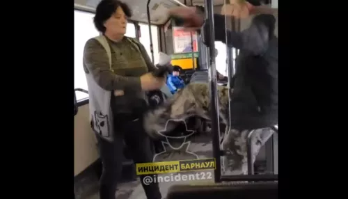 В Барнауле пьяного пассажира силой выкинули из автобуса