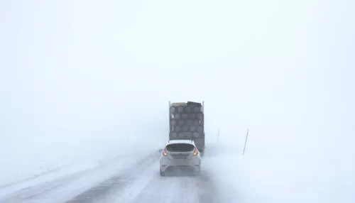 На Алтайский край 8 марта обрушится ветер 100 км/ч с мокрым снегом