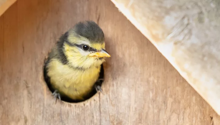 Астрономическая весна, приди! Когда наконец наступит день весеннего равноденствия
