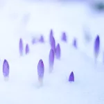 Перекресток судьбы в марте. Астрологи предупредили о важной дате