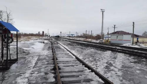 В Алтайском крае грузовой поезд насмерть сбил 64-летнего жителя Шипуново