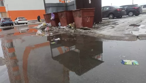 Барнаульцы негодуют из-за летающего мусора в новостройках