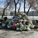 Власти Рубцовска отчитались о решении мусорной проблемы в городе