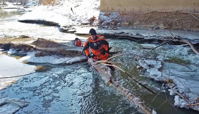 В преддверии паводка реку Барнаулку очистили от мусора и веток