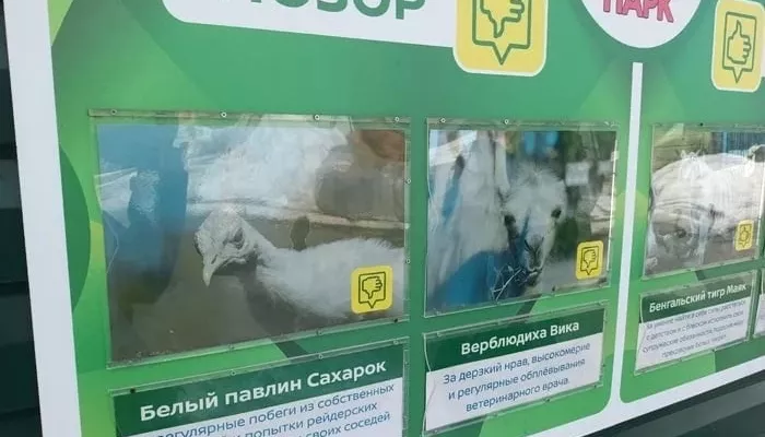 В барнаульском зоопарке появилась своя доска позора