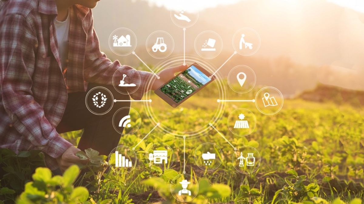 Цифровые инструменты Россельхозбанка помогают фермерам Алтая в посевной 