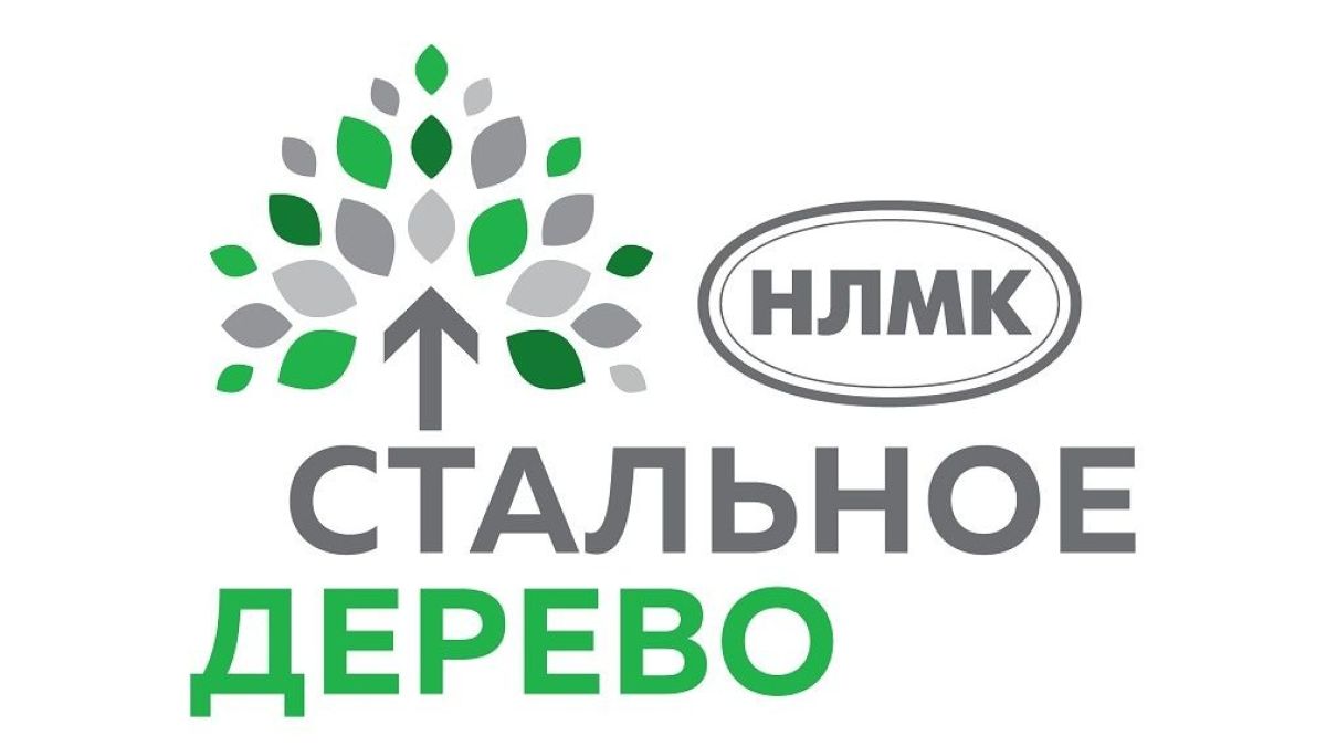 Более 40 заявок подали жители Алтайского края на участие в грантовой программе "Стальное дерево"