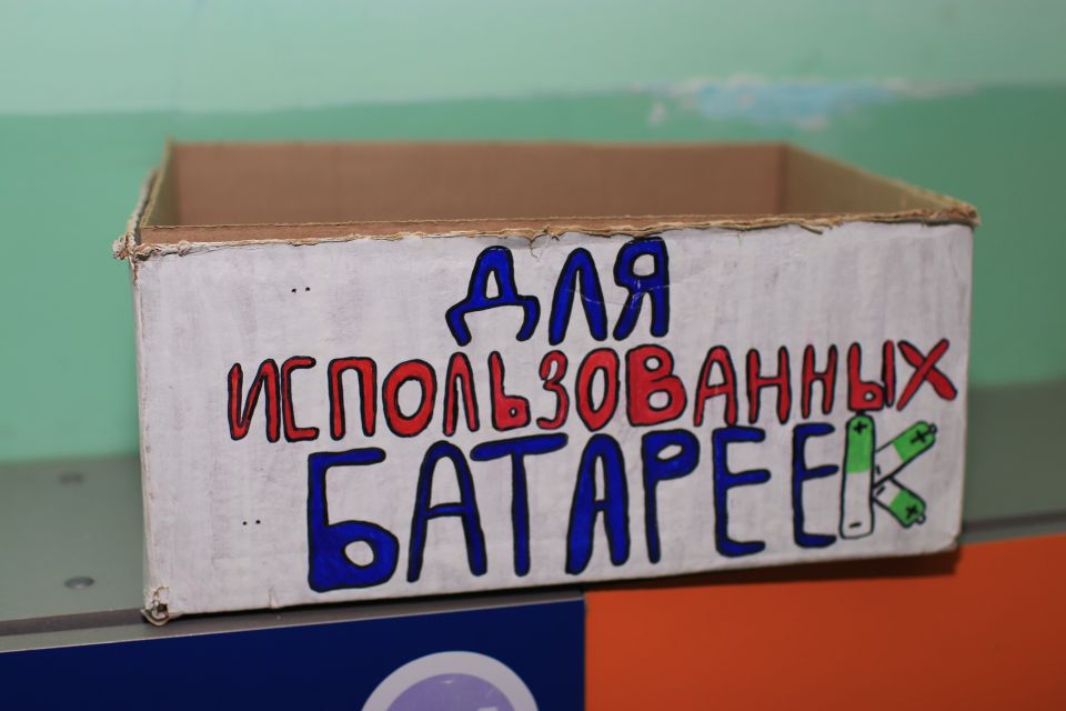Депутат Бийской гордумы провела экоурок для школьников  