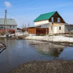 Новая беда: как в пригороде Барнаула спасали от потопа большой поселок. Фото