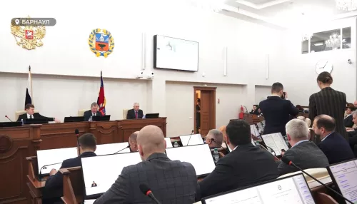 Отчеты омбудсмена и главного полицейского заслушали депутаты АКЗС